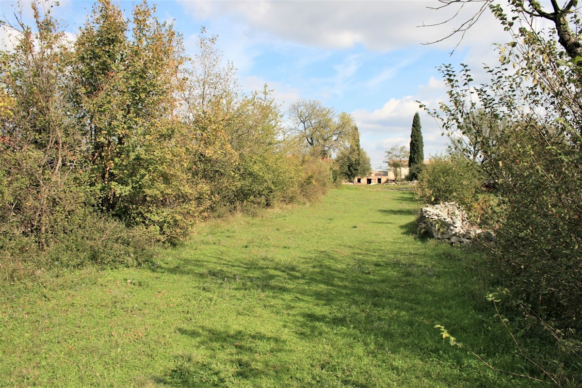 Terreno In vendita - ISTARSKA BARBAN