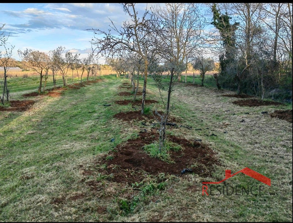 Terreno In vendita - ISTARSKA MEDULIN