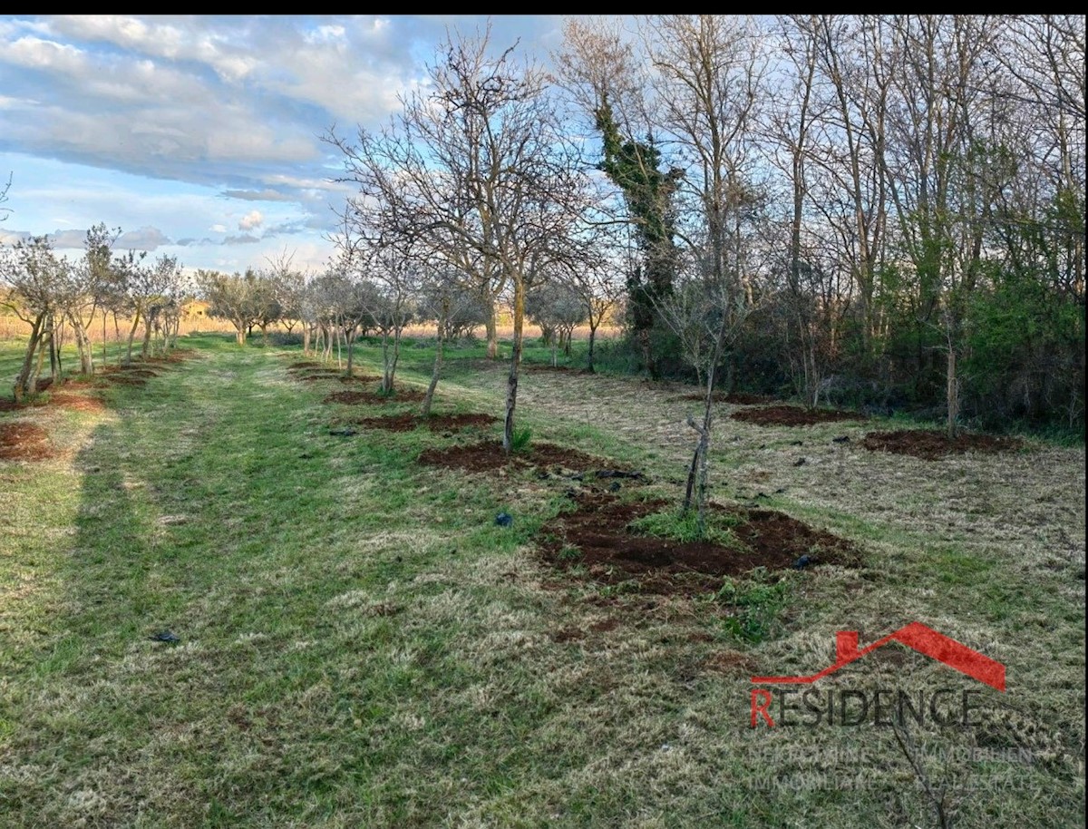 Terreno In vendita - ISTARSKA MEDULIN