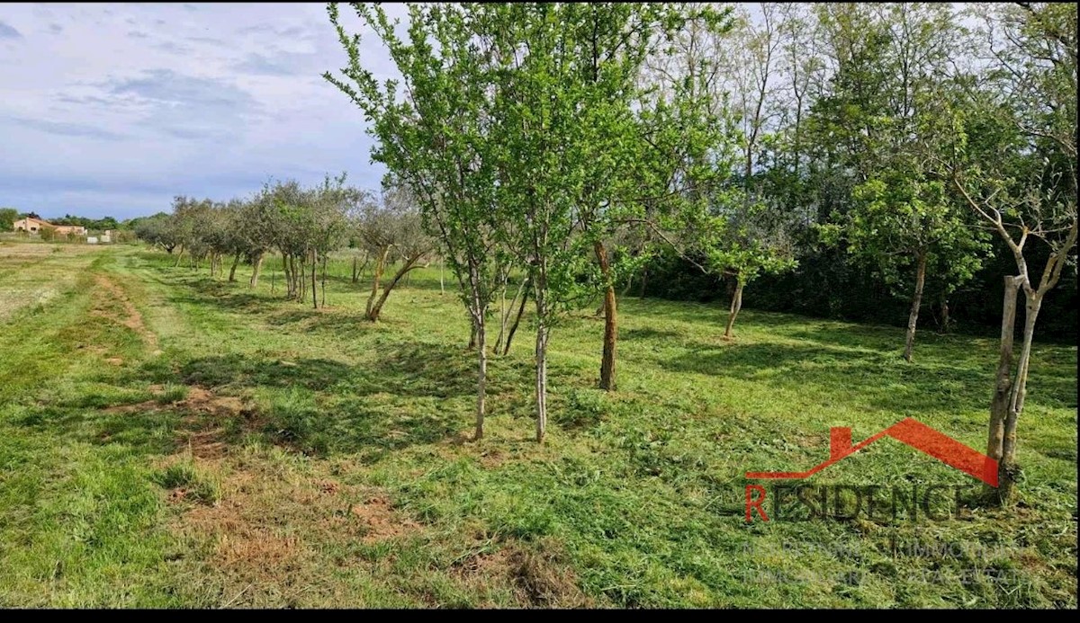 Terreno In vendita - ISTARSKA MEDULIN