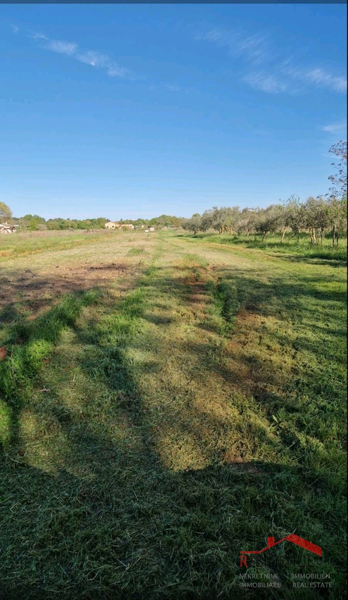 Terreno In vendita - ISTARSKA MEDULIN