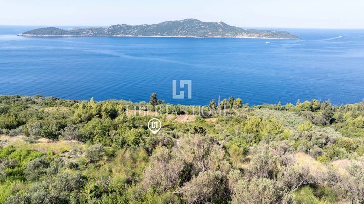 Land for sale 3304 m² – Trsteno