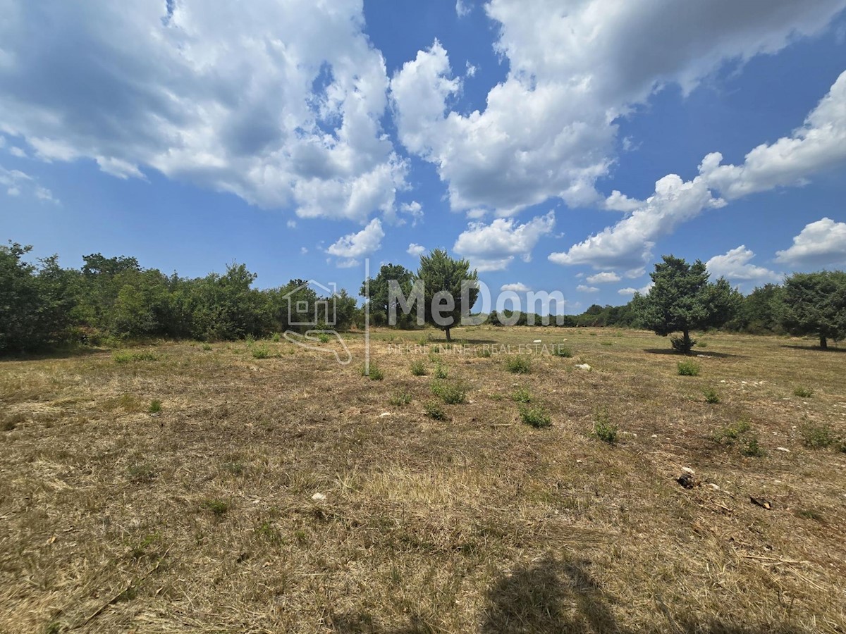 Land For sale - ISTARSKA VODNJAN