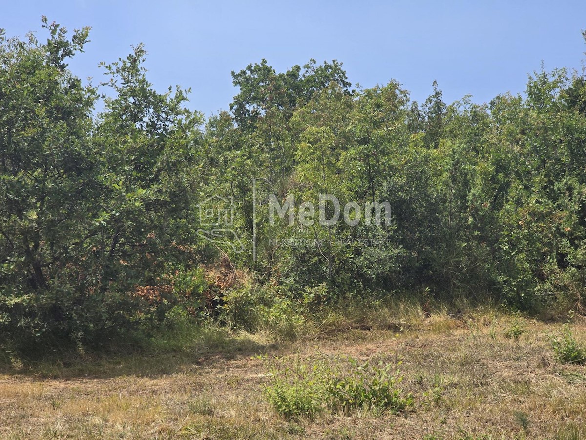 Land For sale - ISTARSKA VODNJAN