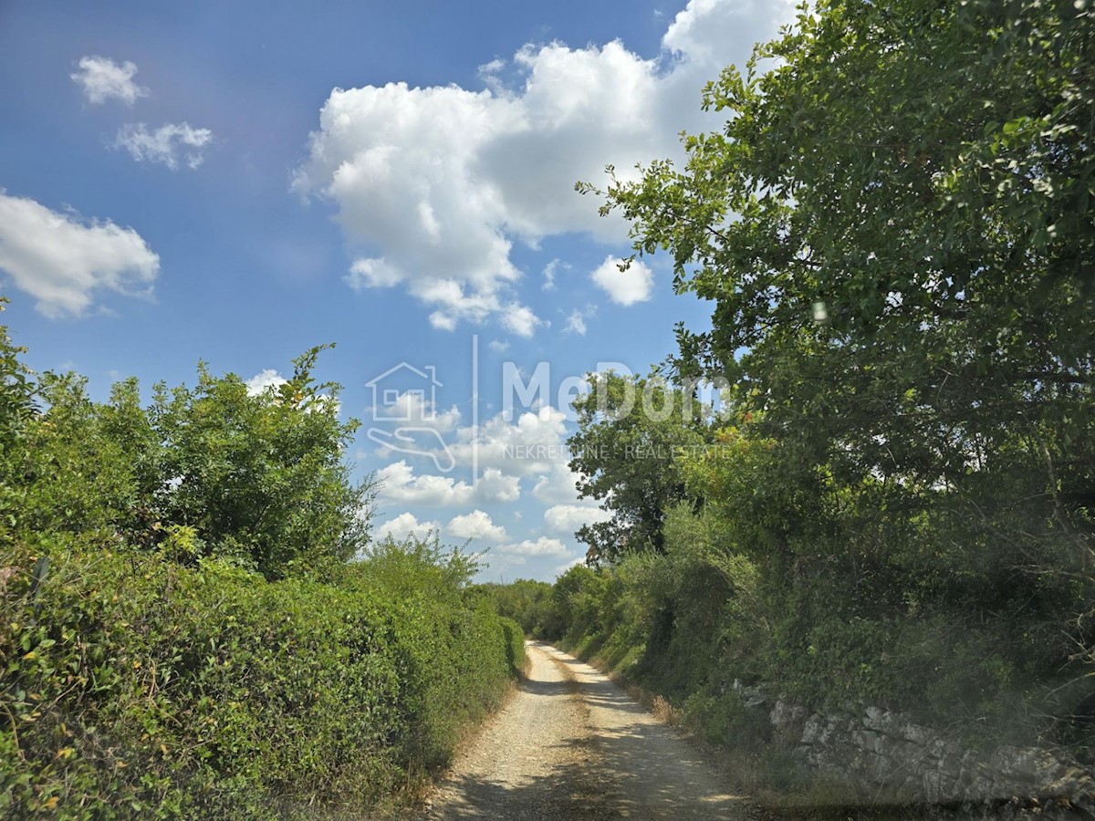 Land For sale - ISTARSKA VODNJAN