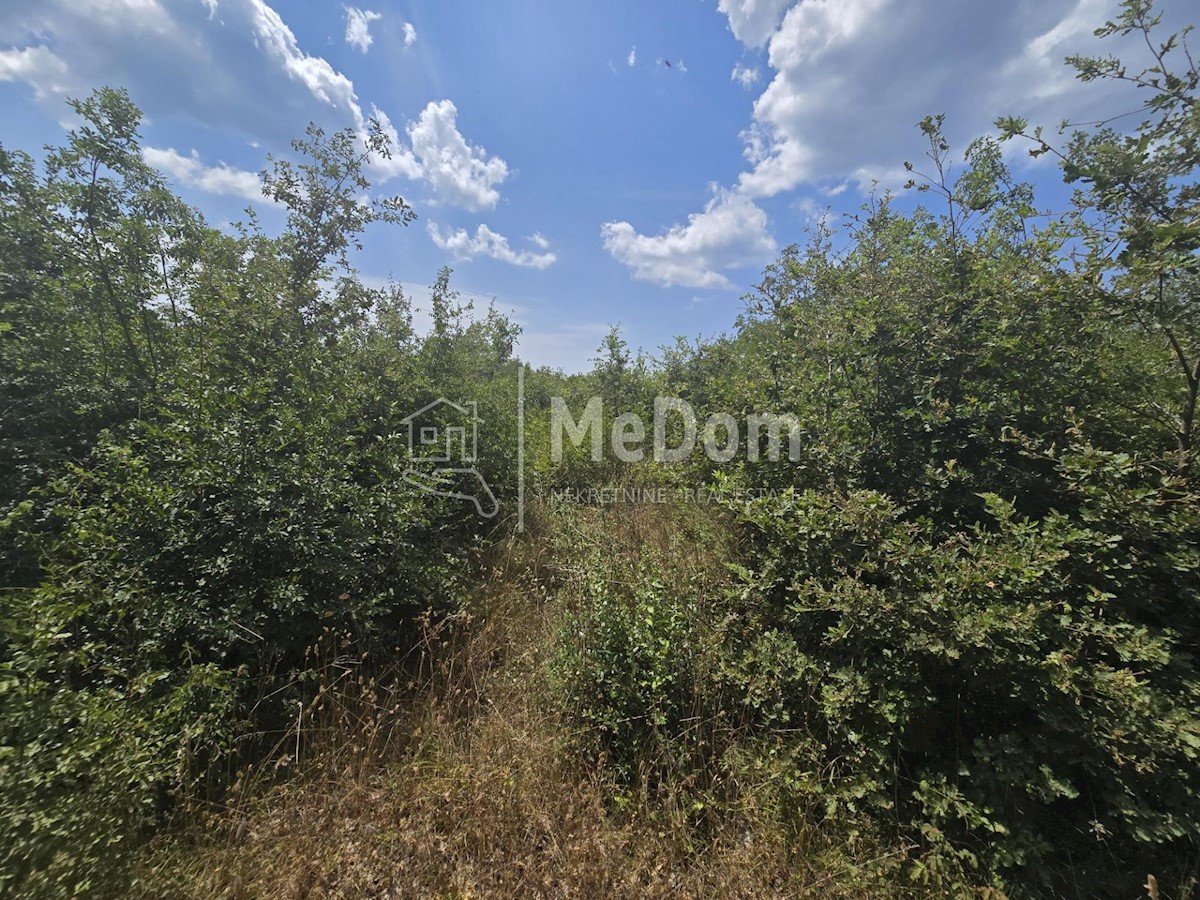 Land For sale - ISTARSKA VODNJAN