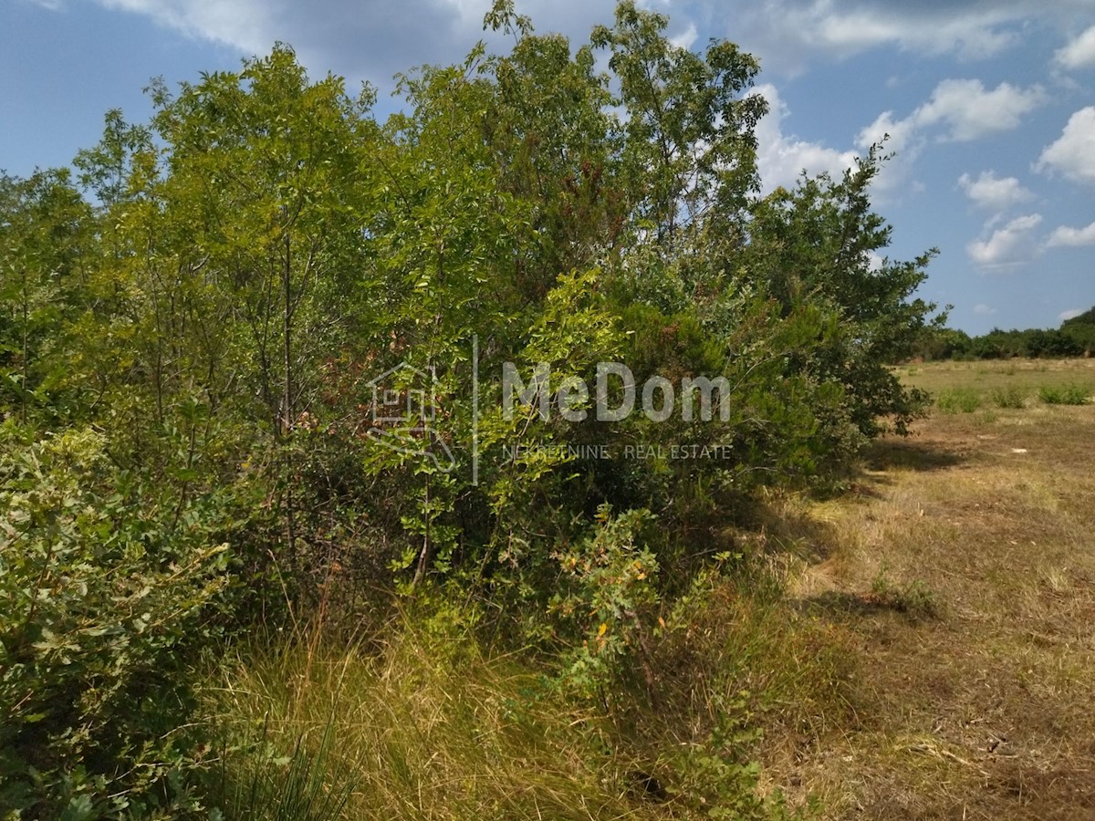 Land For sale - ISTARSKA VODNJAN