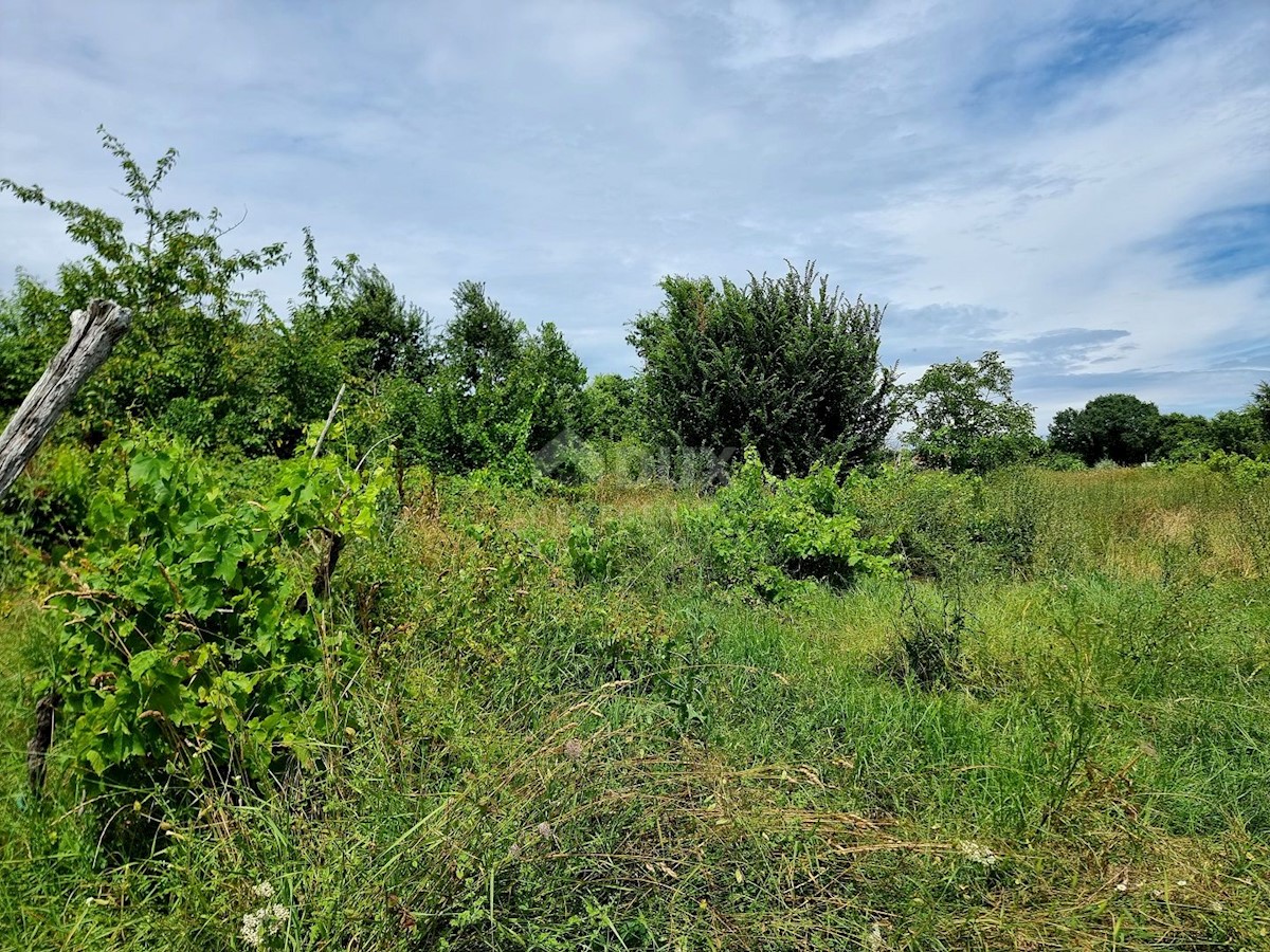 Land For sale - ISTARSKA LABIN