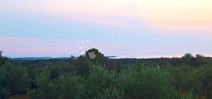 Land for sale 2264 m² – Fažana