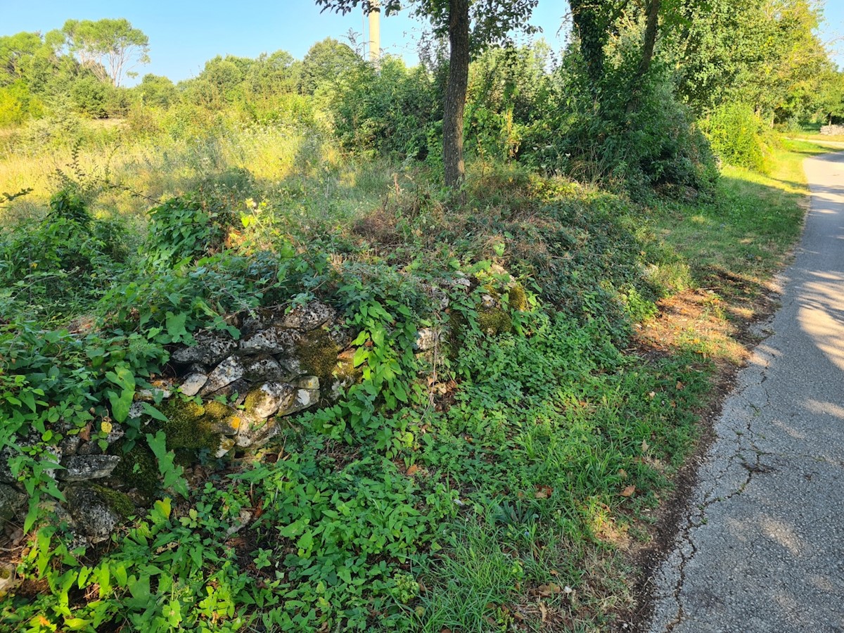 Parcela Na predaj - Istarska Labin - foto 2/3