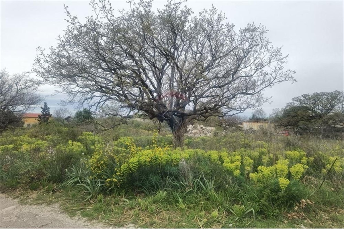 Land For sale - ZADARSKA PAG