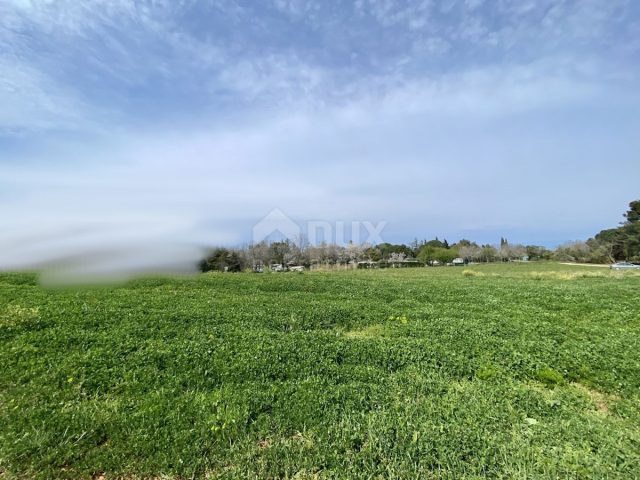 Terrain à vendre 10000 m² – Crveni Vrh