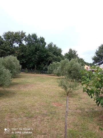 Hiša Naprodaj - Istarska Marčana - foto 4/4