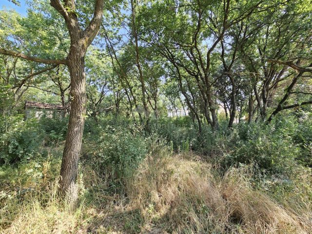 Terreno in vendita 1345 m² – Valbandon