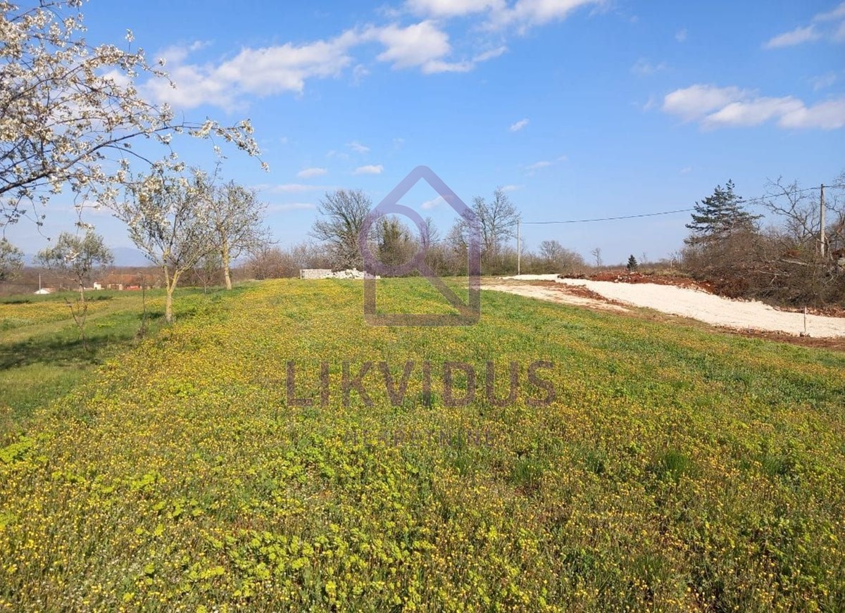 Land For sale - ISTARSKA ŽMINJ