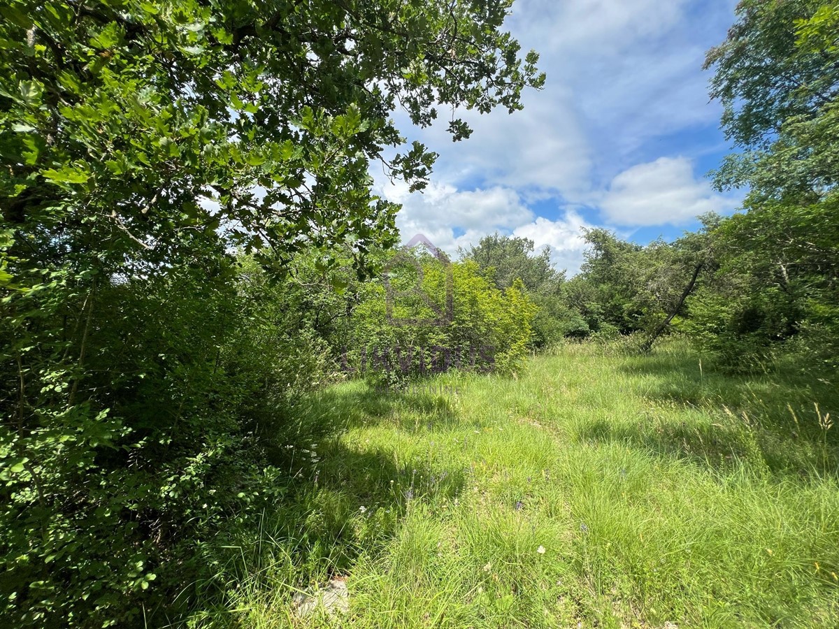 Terreno In vendita - ISTARSKA BALE