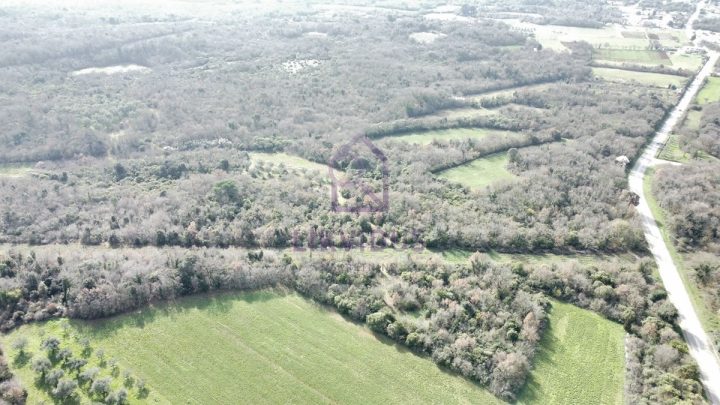 Parcela Naprodaj - Istarska Vodnjan - foto 3/7