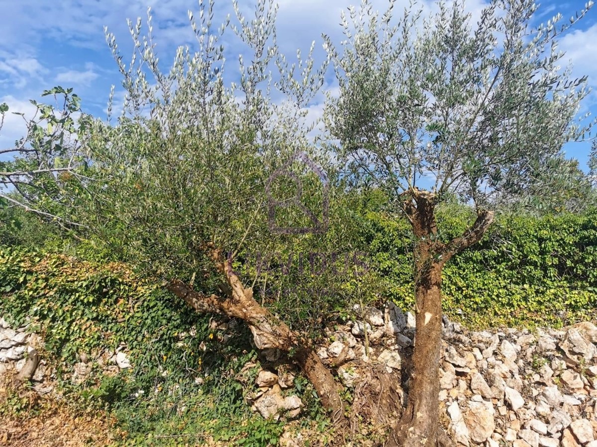 Terreno In vendita - ISTARSKA MARČANA