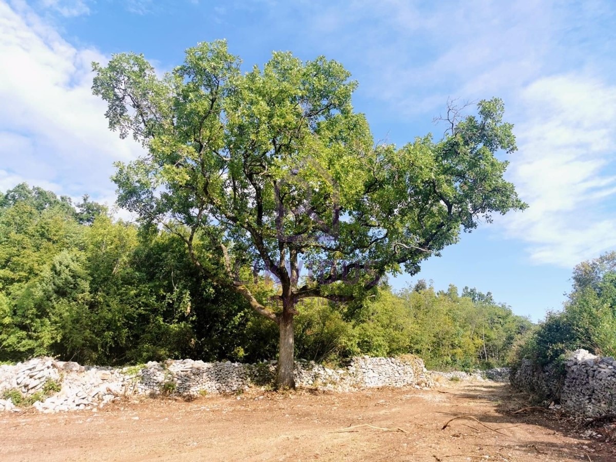 Terreno In vendita - ISTARSKA MARČANA