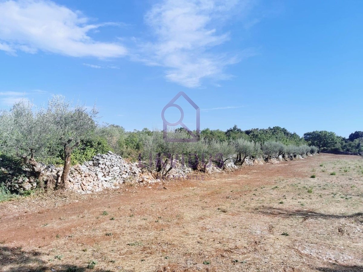 Terreno In vendita - ISTARSKA MARČANA