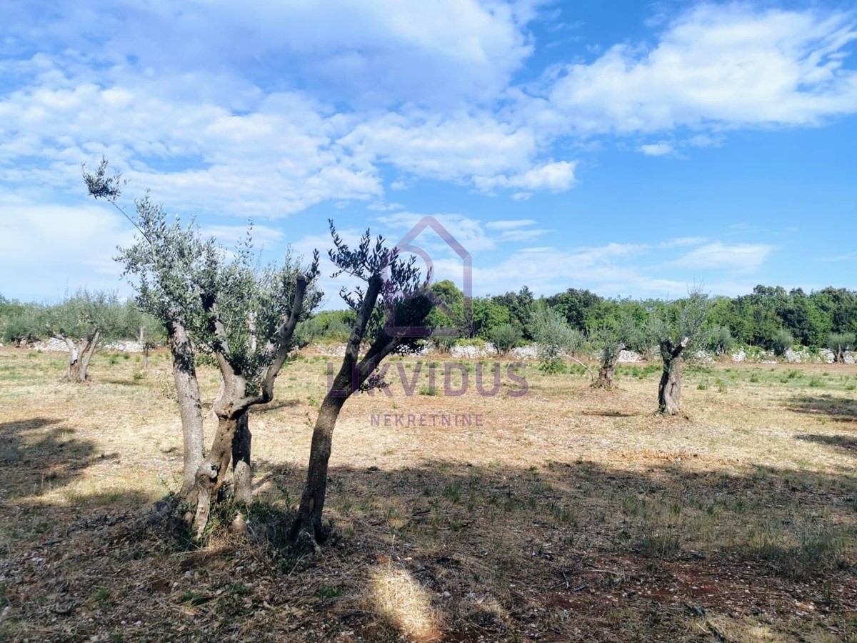 Terreno In vendita - ISTARSKA MARČANA