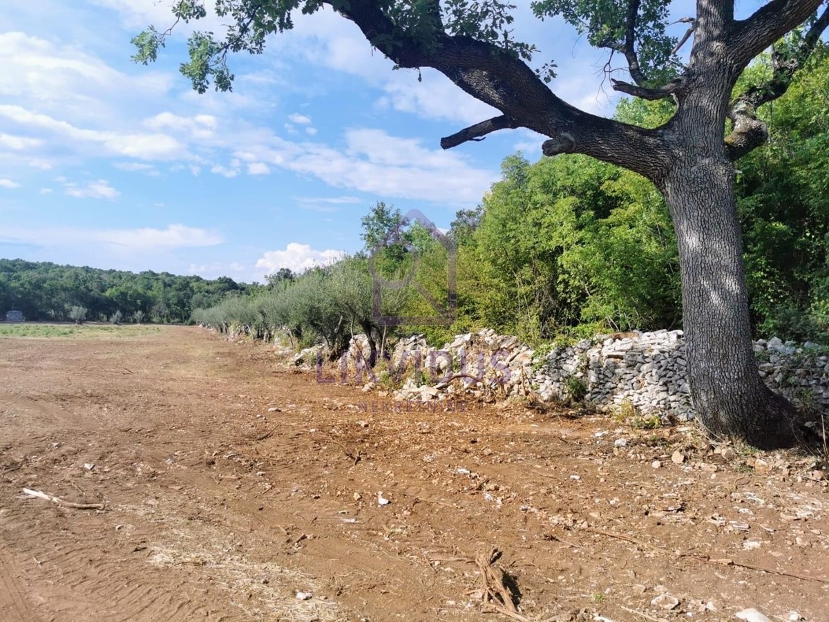 Terreno In vendita - ISTARSKA MARČANA