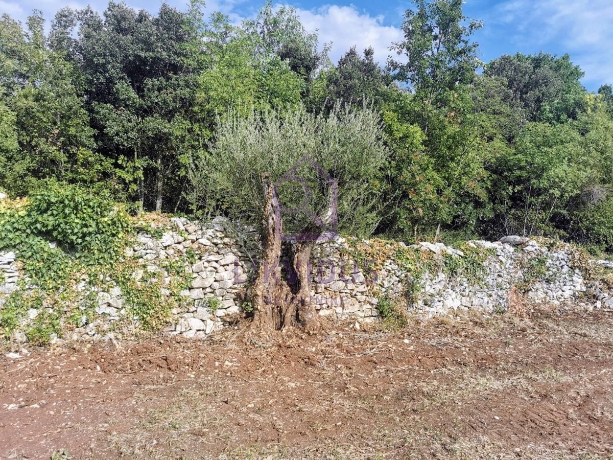 Terreno In vendita - ISTARSKA MARČANA