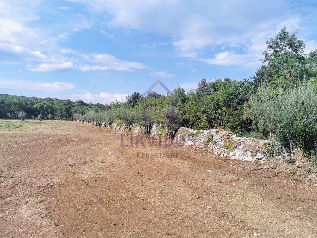 Terreno In vendita - ISTARSKA MARČANA