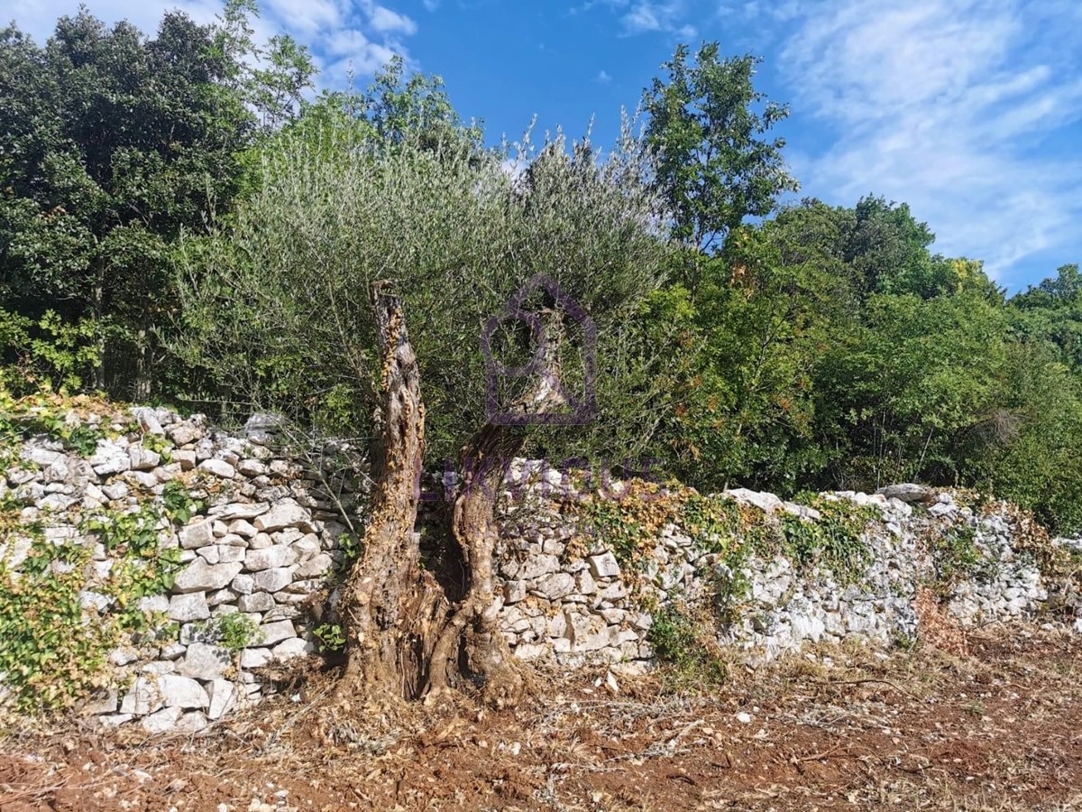 Terreno In vendita - ISTARSKA MARČANA