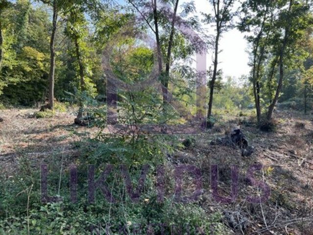 Land For sale - Istarska Karojba - foto 2/10