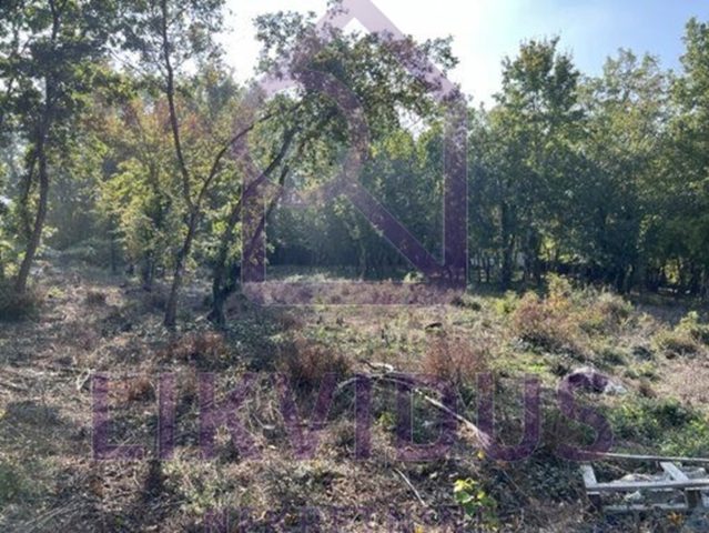 Land For sale - Istarska Karojba - foto 3/10