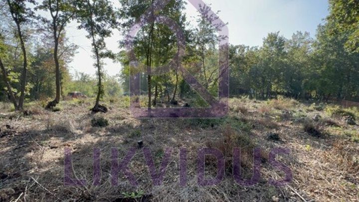Land For sale - Istarska Karojba - foto 4/10