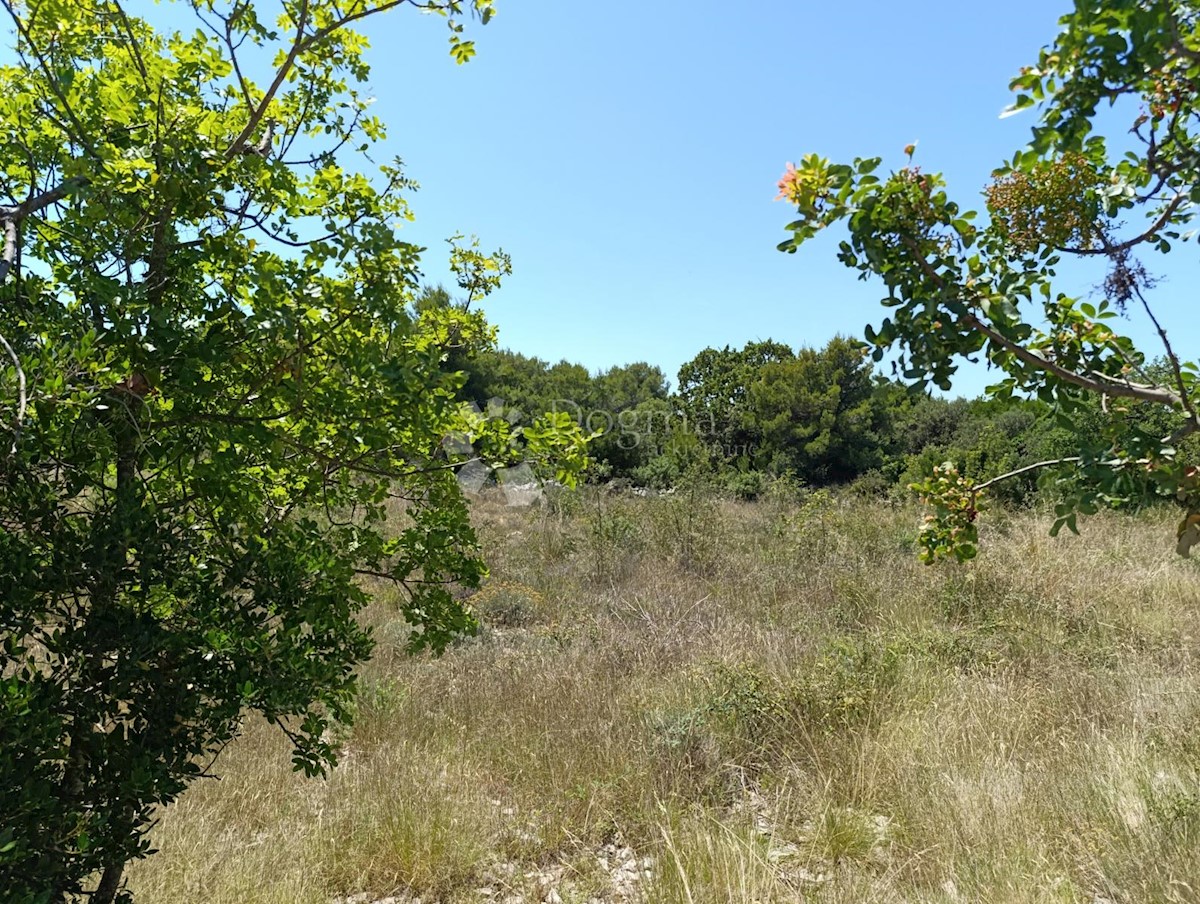 Terreno In vendita - ZADARSKA PAKOŠTANE