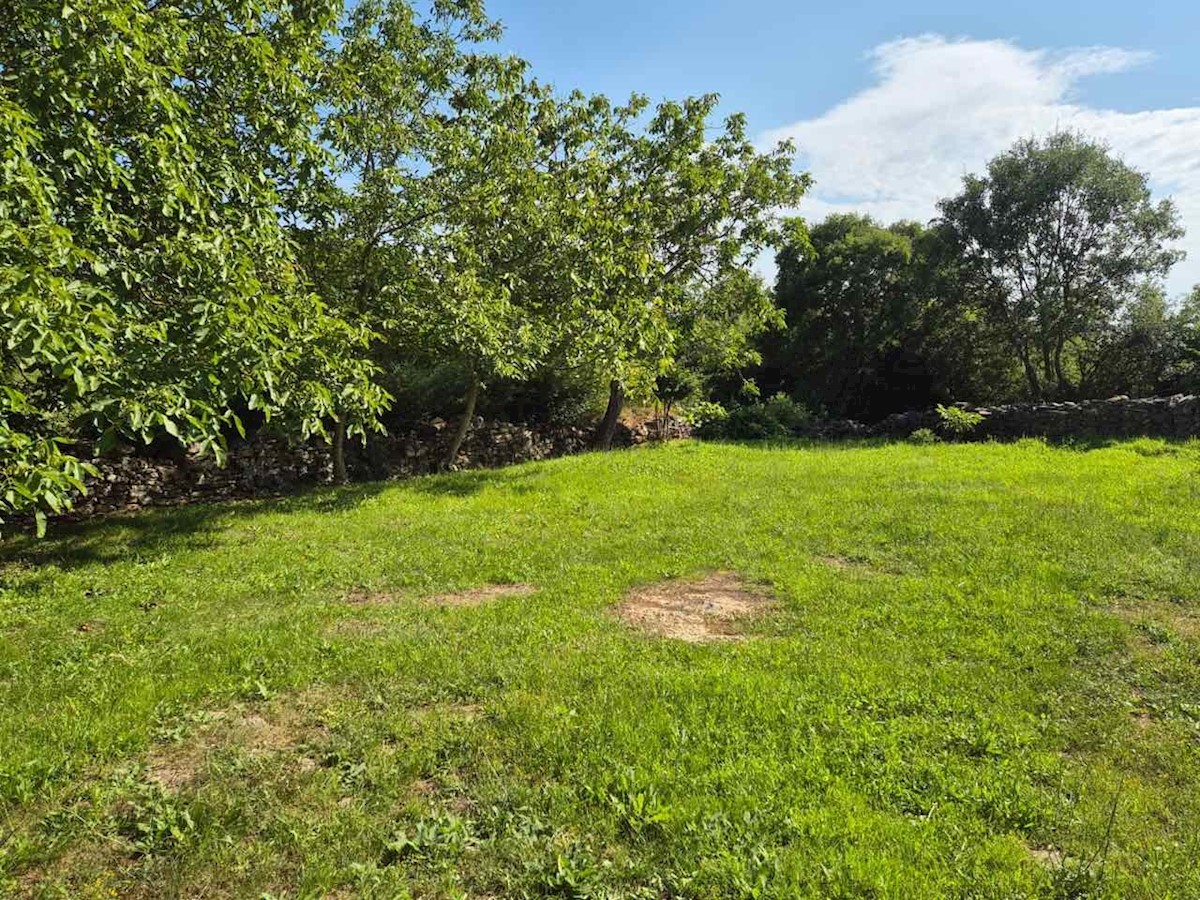 House For sale - Istarska Kanfanar - foto 4/6