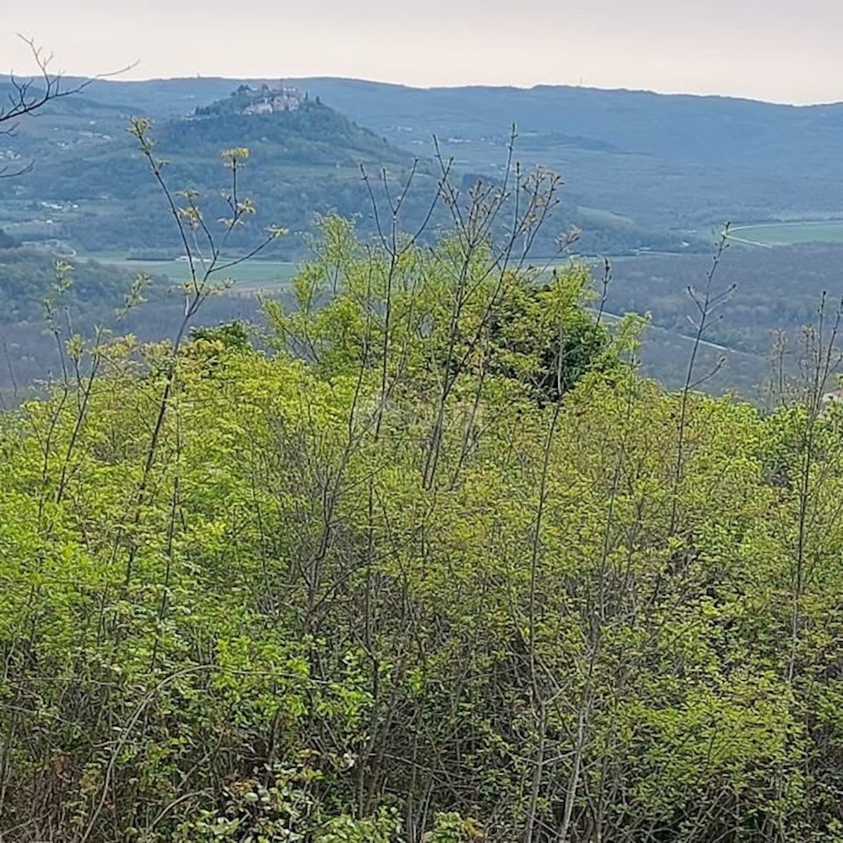 Terreno In vendita - ISTARSKA OPRTALJ