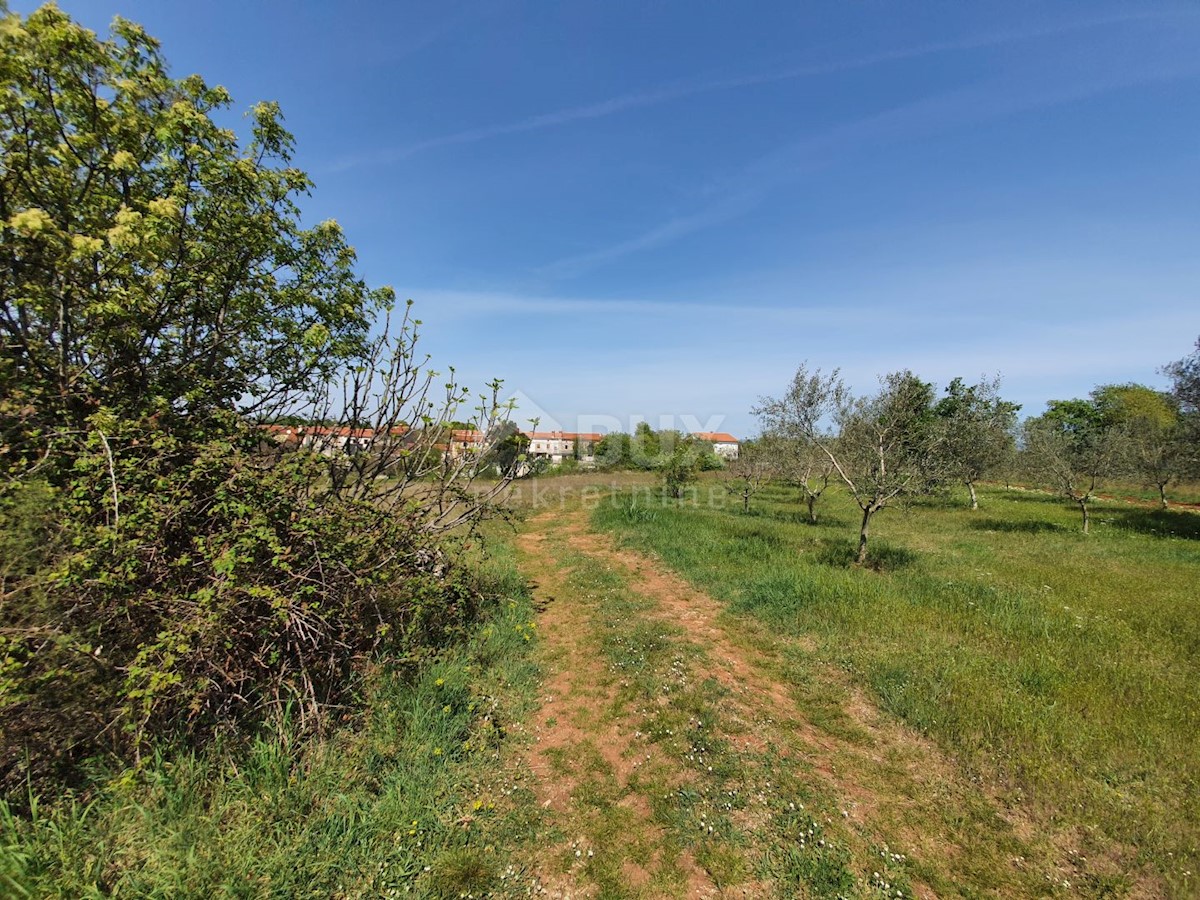 Parcela Naprodaj - ISTARSKA Marčana