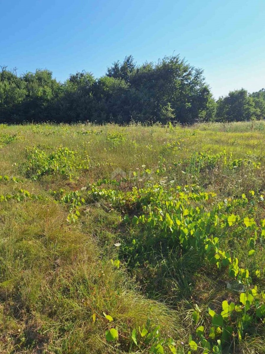 House For sale - ISTARSKA LABIN