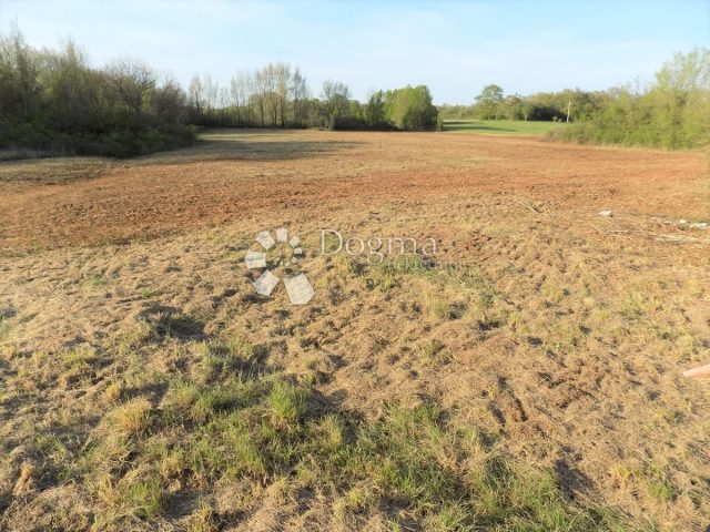Terreno in vendita 43000 m² – Bale