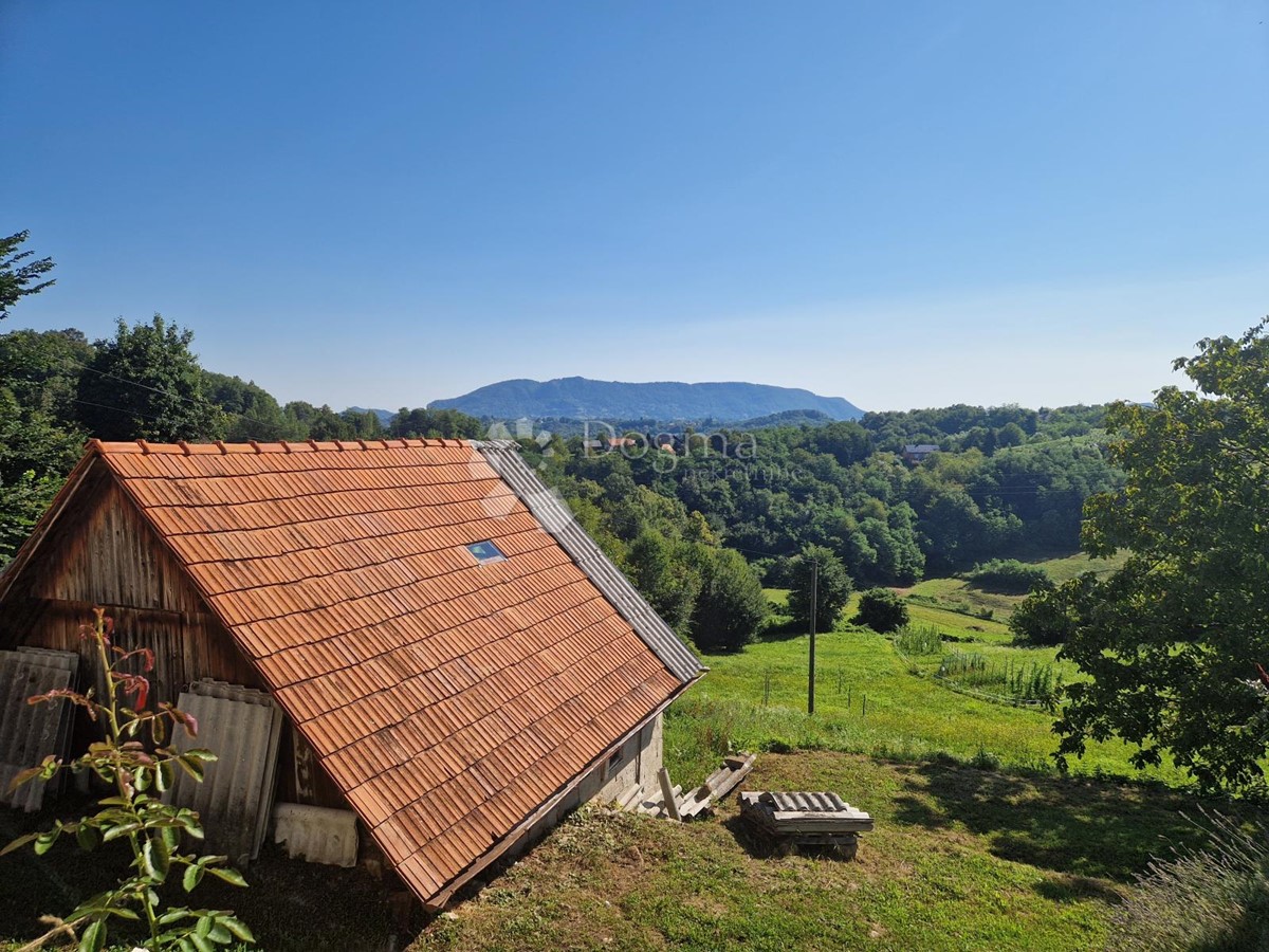 House For sale - VARAŽDINSKA BEDNJA