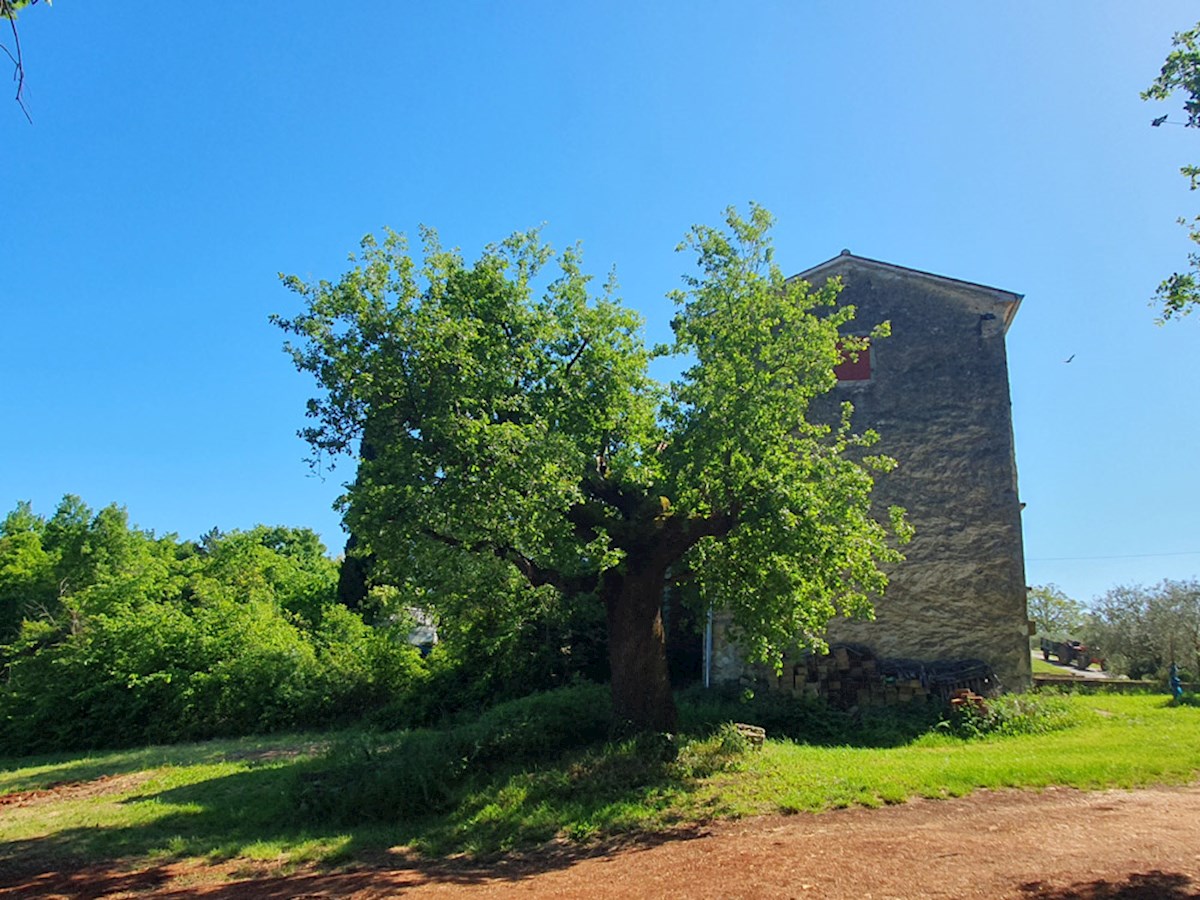 Maison À vendre - ISTARSKA VIŽINADA