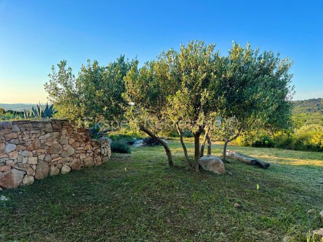 Land For sale - Splitsko-dalmatinska šolta - foto 5/5