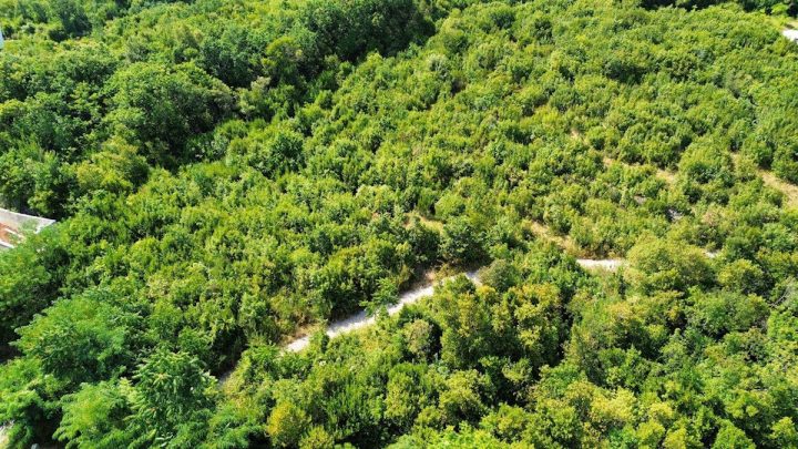 Land for sale 3454 m² – Opatija