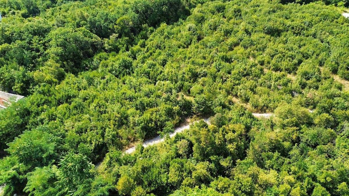 Terrain À vendre - Primorsko-goranska Opatija - foto 1/2