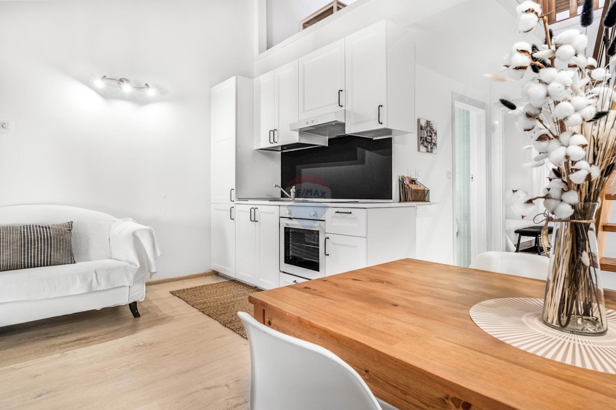 House For sale - ISTARSKA MEDULIN