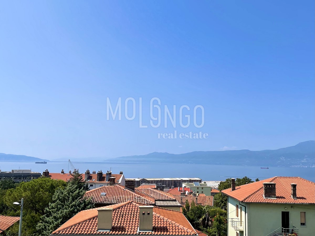 Flat For rent - PRIMORSKO-GORANSKA RIJEKA