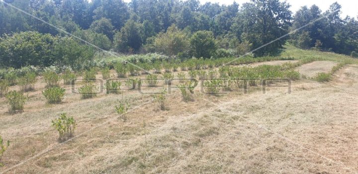 Grundstück zu verkaufen 135825 m² – Krnjak