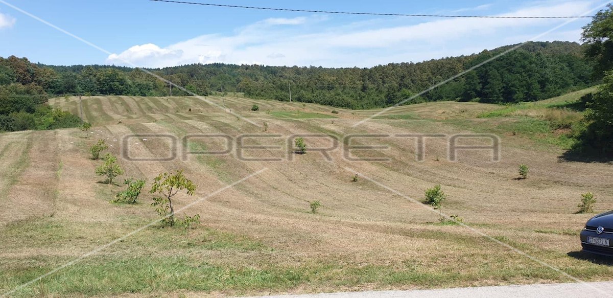 Terrain À vendre - KARLOVAČKA KRNJAK