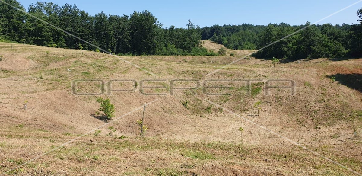 Terrain À vendre - KARLOVAČKA KRNJAK