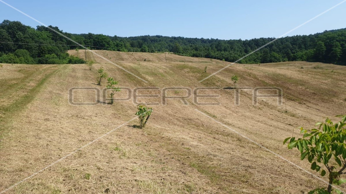 Terrain À vendre - KARLOVAČKA KRNJAK