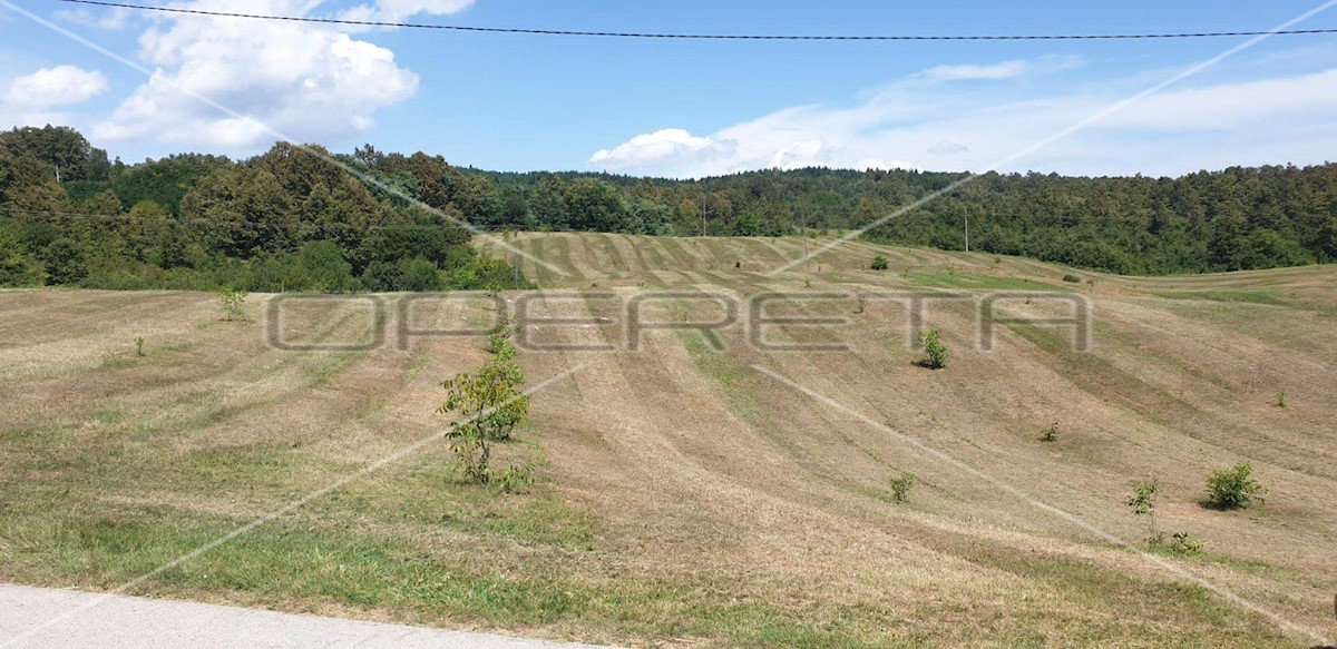 Terrain À vendre - KARLOVAČKA KRNJAK